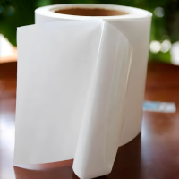 PP60 WHITE TC / HOTMELT / WG60G (Белая ПП Каучук Белый глассин)