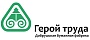 Добрушская БФ